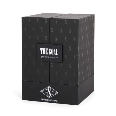 Yaryna Leshnevska The Goal Ukrainian contemporary kinetic sculpture by Yaryna Leshnevska