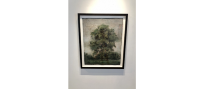 Yves Crenn Un arbre Hyde Park 2015