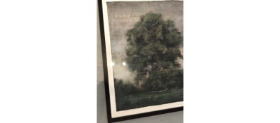 Yves Crenn Un arbre Hyde Park 2015