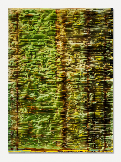 Zhang Xiaodong Life and growth in nature 0 2025