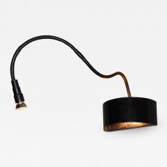  ADG Lighting 5291 Gooseneck Art Light ADG Lighting - 1411710