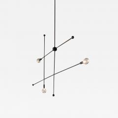  ADG Lighting Smolowski plam desert house dining room - 2202261