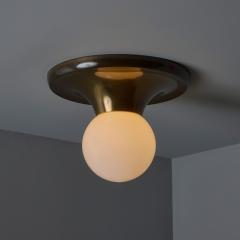  Achille Pier Giacomo Castiglioni 1960s Achille Castiglioni and Pier Giacomo Brass Light Ball Ceiling Lamp - 3931546