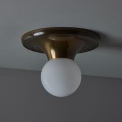  Achille Pier Giacomo Castiglioni 1960s Achille Castiglioni and Pier Giacomo Brass Light Ball Ceiling Lamp - 3931550