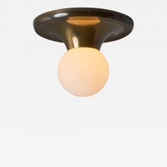  Achille Pier Giacomo Castiglioni 1960s Achille Castiglioni and Pier Giacomo Brass Light Ball Ceiling Lamp - 3933990