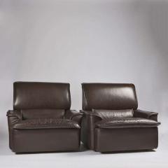  Achille Pier Giacomo Castiglioni Pair of Navona Armchairs by Achille and Pier Giacomo Castiglioni for Zanotta - 4725987