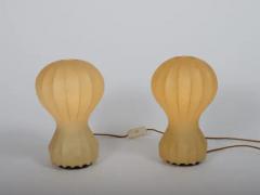  Achille Pier Giacomo Castiglioni Pair small cocoon Gatto Table Lamps Achille Pier Castiglioni Flos Italy 1960 - 4128532