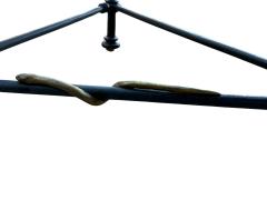  Alberto Diego Giacometti BRUTALIST SCULPTED METAL GILT SNAKE COFFEE TABLE IN THE MANNER OF GIACOMMETTI - 4442101