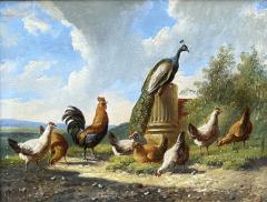 Albertus Verhoesen Summer landscape with rooster hens and peacock - 3715055