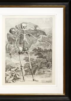  Albinus Albinus Pair of Anatomical Studies  - 2300448