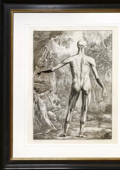  Albinus Albinus Pair of Anatomical Studies  - 2300449