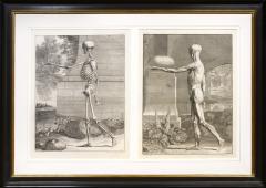  Albinus Albinus Pair of Anatomical Studies engravings - 1085536