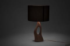  Amorph Contemporary Sculpture Wooden Table Lamp Solid Ash Wood - 632257