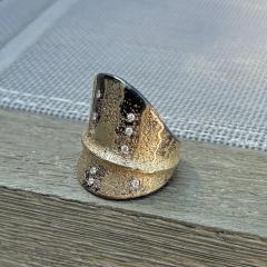  Atelier Zobel White Diamond Pure Gold Oxidized Silver Shield Ring Atelier Zobel 2025 - 4711179