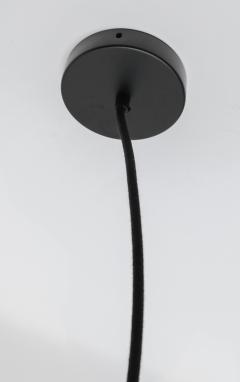 Ay Illuminate Black Bird s Nest Small Pendant Chandelier by Ay Illuminate - 2374403