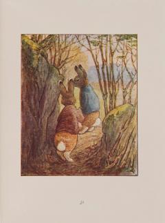  BEATRIX POTTER The Tale of Mr Tod by Beatrix POTTER - 3248163