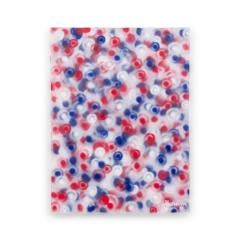  Barbara Kiskovski Barbara Kiskovski American Contemporary Abstract Spray Painted Acrylic on Canvas - 4640925