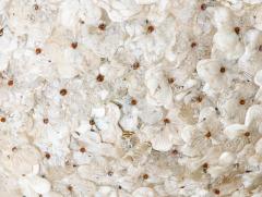  Barovier Toso Vintage Pressed Barovier Milk and Gold Glass Flowers in a Bouquet Chandelier - 1011854