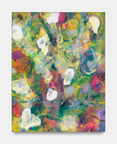  Bernd Koberling tbc III 2018 2019 - 3063011