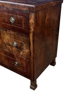  Biedermeier Austrian Biedermeier Mahogany Veneered Chest of Drawers - 4624822