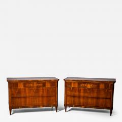  Biedermeier Pair of Biedermeier Chests of Drawers Italy 19th Century - 4598393
