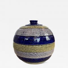  Bitossi Vase by Aldo Londi for Bitossi Ceramiche - 4638721