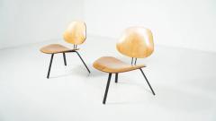  Borsani Tecno Mid Century Modern P31 Chairs by Osvaldo Borsani Tecno 1950s - 4546360