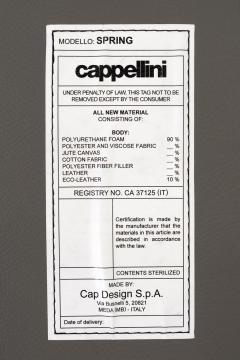  Cappellini Erwan Bouroullec for Cappellini Spring Lounge Chair Italy 2000 - 4563078