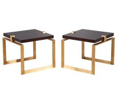  Carrocel Interiors Pair of Modern Macassar and Brass End Tables - 2705419