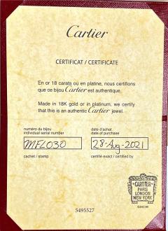  Cartier CARTIER LOVE EARRINGS - 3303777