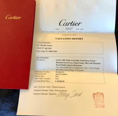  Cartier Cartier 18 Karat White Gold Mini Tank Divan Watch Diamond Paved Case - 2718107