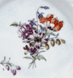  Chelsea Porcelain Manufactory Antique English Porcelain Botanical Chelsea Latticed Circular Dishes - 1778863