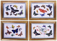  China School China Export Watercolours on Pith PAper set of Twelve Butterflies - 1059907