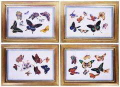  China School China Export Watercolours on Pith PAper set of Twelve Butterflies - 1059909