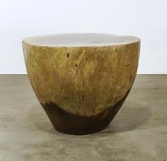  Costantini Design Carved Live Edge Solid Wood Trunk Table 16 by Costantini Francisco in Stock - 3372387