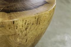  Costantini Design Carved Live Edge Solid Wood Trunk Table 16 by Costantini Francisco in Stock - 3372395