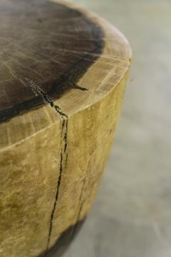  Costantini Design Carved Live Edge Solid Wood Trunk Table 20 by Costantini Francisco in Stock - 3372777