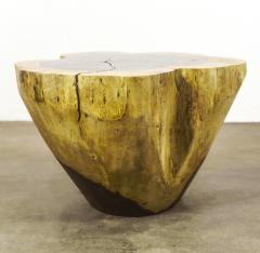  Costantini Design Carved Live Edge Solid Wood Trunk Table 3 by Costantini Francisco in Stock - 3371463