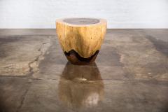  Costantini Design Carved Live Edge Solid Wood Trunk Table 31 by Costantini Francisco in Stock - 3373212
