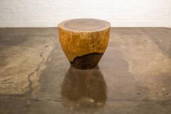  Costantini Design Carved Live Edge Solid Wood Trunk Table 33 by Costantini Francisco in Stock - 3373471