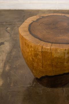  Costantini Design Carved Live Edge Solid Wood Trunk Table 33 by Costantini Francisco in Stock - 3373474