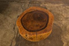  Costantini Design Carved Live Edge Solid Wood Trunk Table 35 by Costantini Francisco in Stock - 3373620