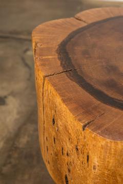  Costantini Design Carved Live Edge Solid Wood Trunk Table 35 by Costantini Francisco in Stock - 3373623