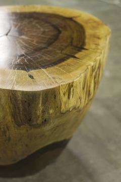  Costantini Design Carved Live Edge Solid Wood Trunk Table 4 by Costantini Francisco in Stock - 3371525
