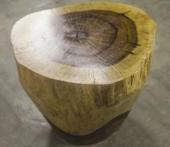  Costantini Design Carved Live Edge Solid Wood Trunk Table 4 by Costantini Francisco in Stock - 3371527