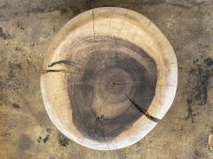  Costantini Design Carved Trunk Solid Exotic Wood Live Edge Table 30 from Costantini Francisco - 4512935