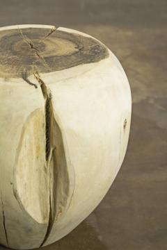  Costantini Design Carved Trunk Solid Exotic Wood Live Edge Table 30 from Costantini Francisco - 4512937