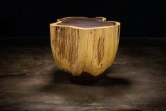  Costantini Design Carved Trunk Solid Exotic Wood Live Edge Table 39 from Costantini Francisco - 4511025