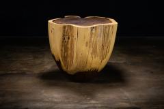  Costantini Design Carved Trunk Solid Exotic Wood Live Edge Table 39 from Costantini Francisco - 4511029