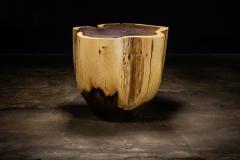  Costantini Design Carved Trunk Solid Exotic Wood Live Edge Table 39 from Costantini Francisco - 4511031